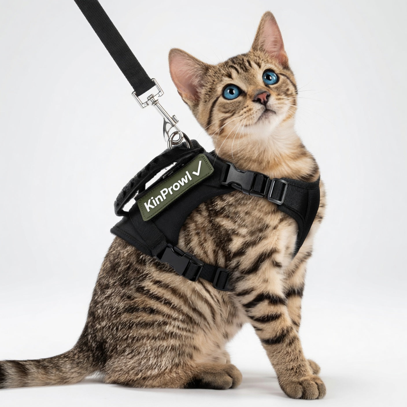 Guardian Cat Harness